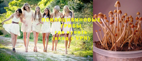 кокс Козловка