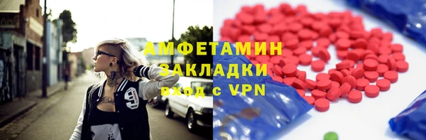 гашик Козельск