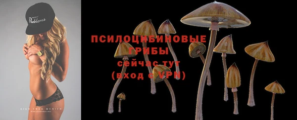 гашик Козельск