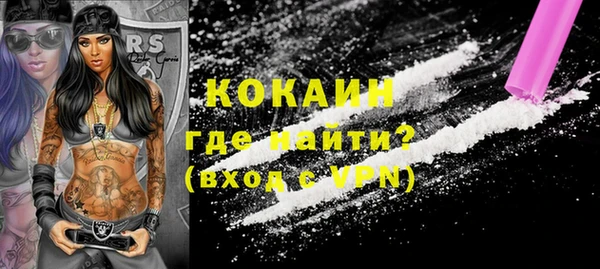 гашик Козельск