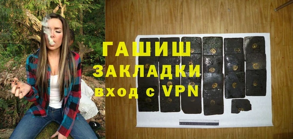 гашик Козельск