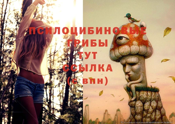 кокс Козловка