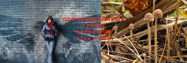 кокс Козловка