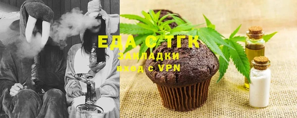 гашик Козельск