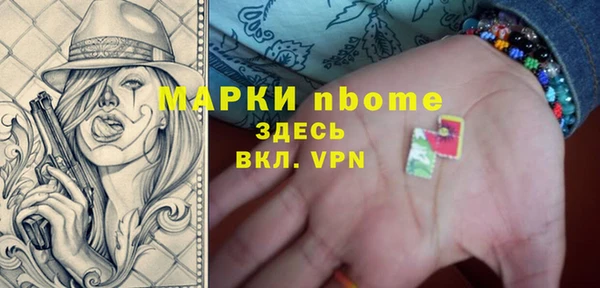 гашик Козельск