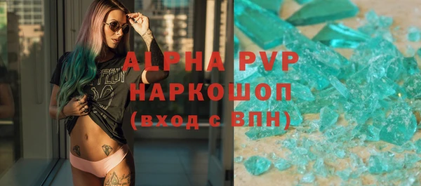 гашик Козельск
