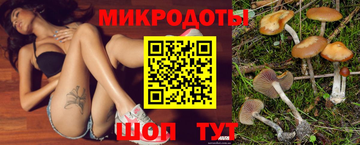 Псилоцибиновые грибы прущие грибы Подольск