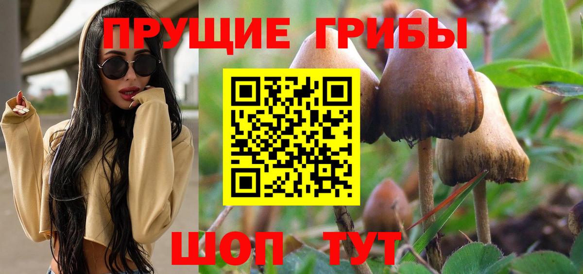 Подольск  Галлюциногенные грибы Magic Shrooms  Вход с VPN  Галлюциногенные грибы мицелий 